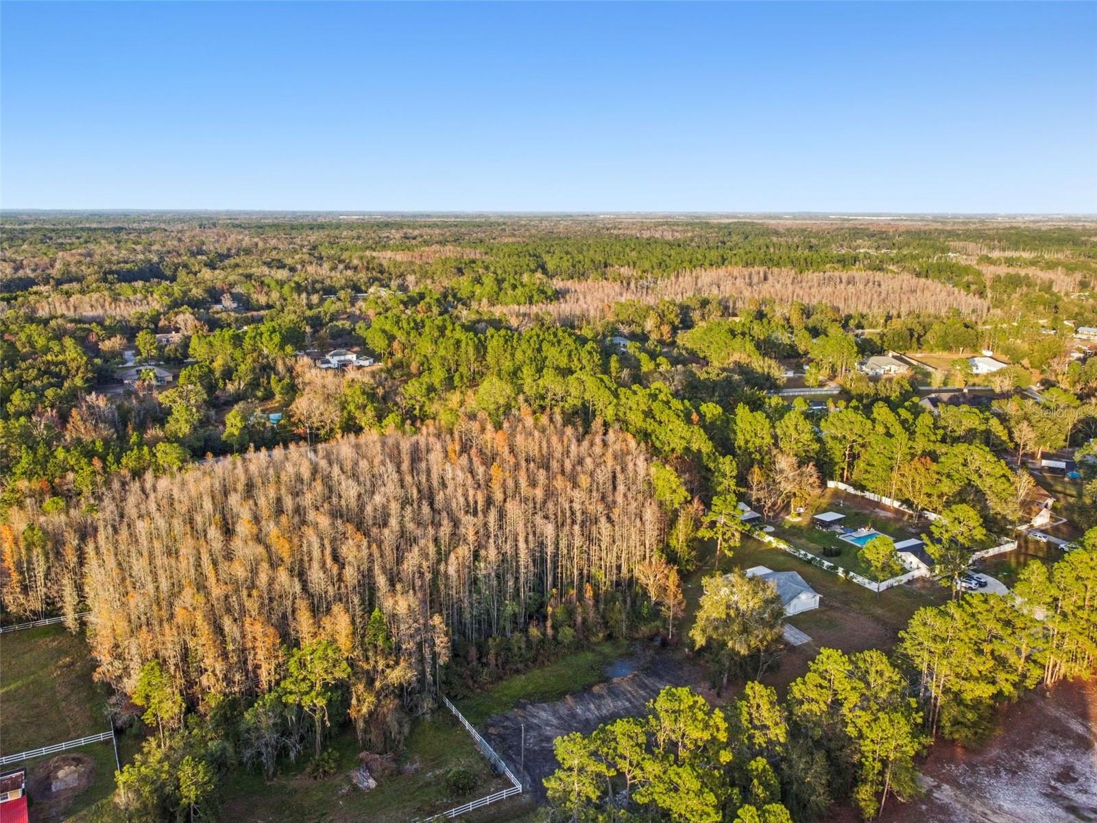 Image 9 of 29 For 26305 Bluestripe Drive