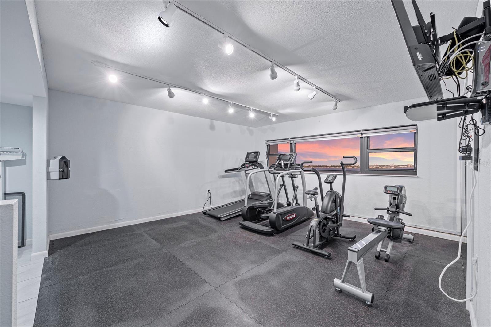 Image 54 of 59 For 4141 Bayshore Boulevard 1702