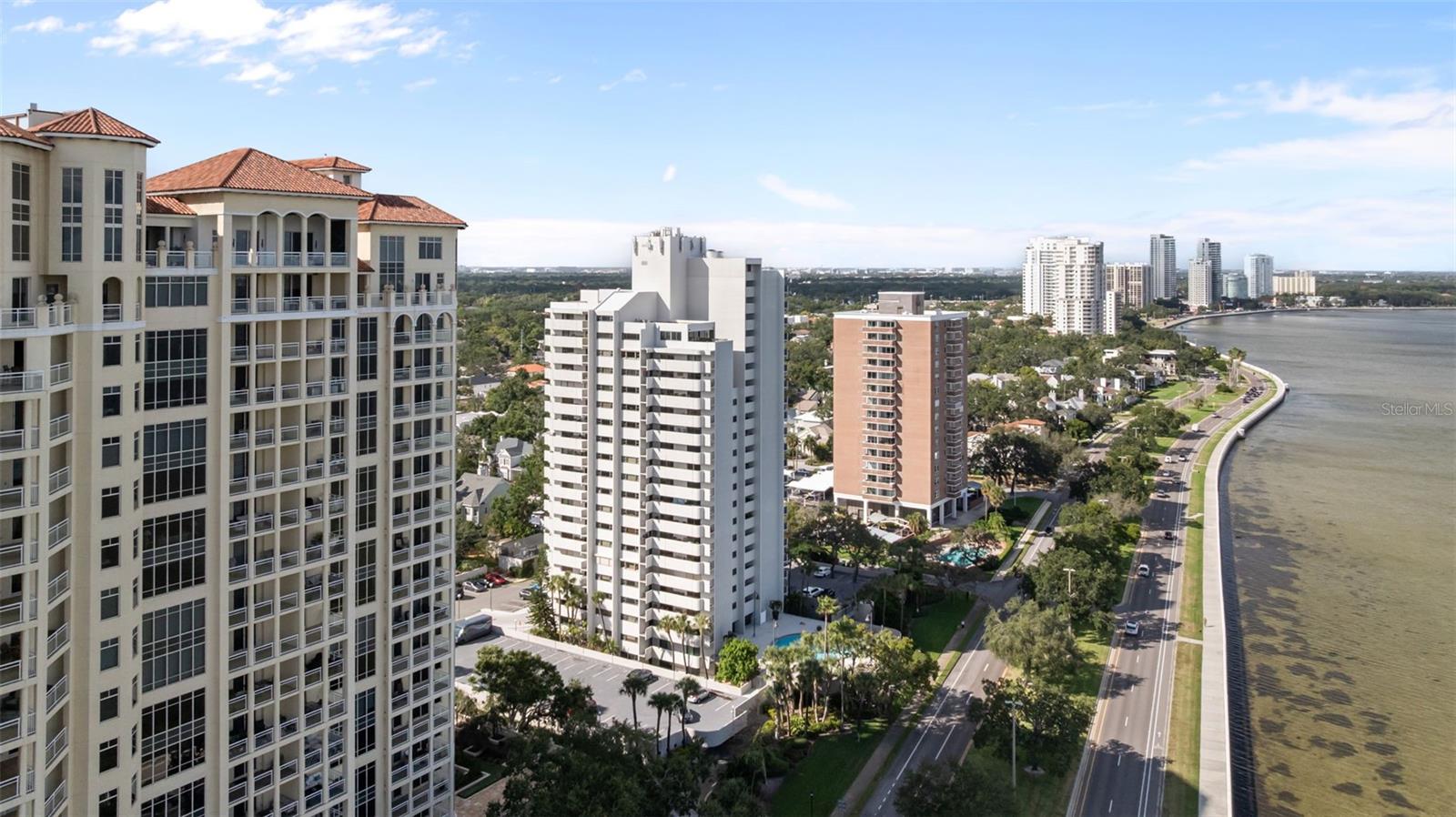 Image 8 of 59 For 4141 Bayshore Boulevard 1702