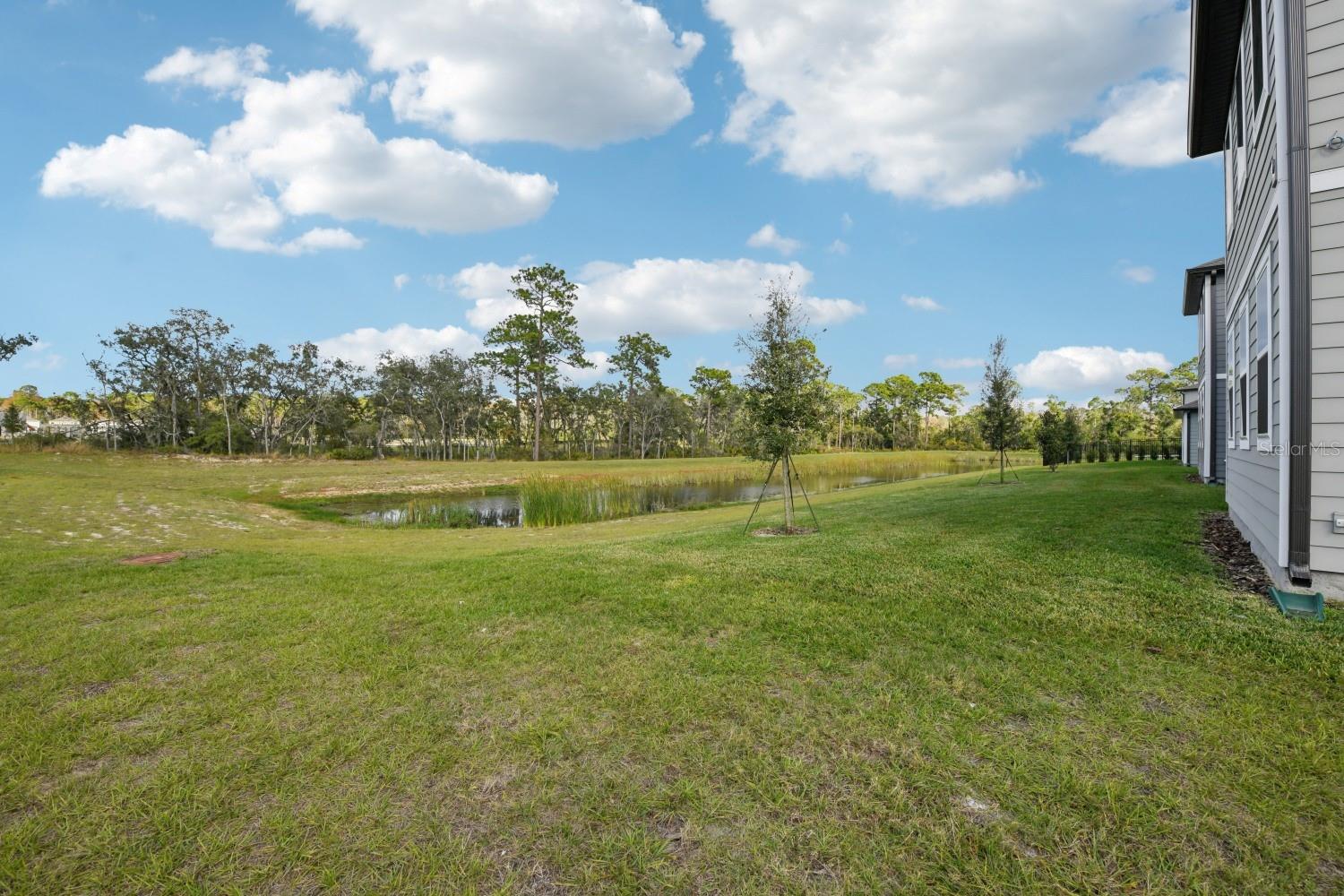 Image 50 of 53 For 17389 Honeybell Tangelo Court