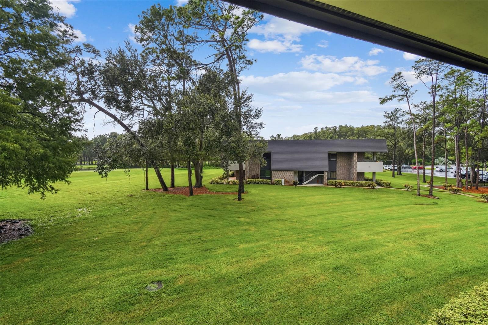 Image 33 of 64 For 36750 Us Highway 19 N 1-209