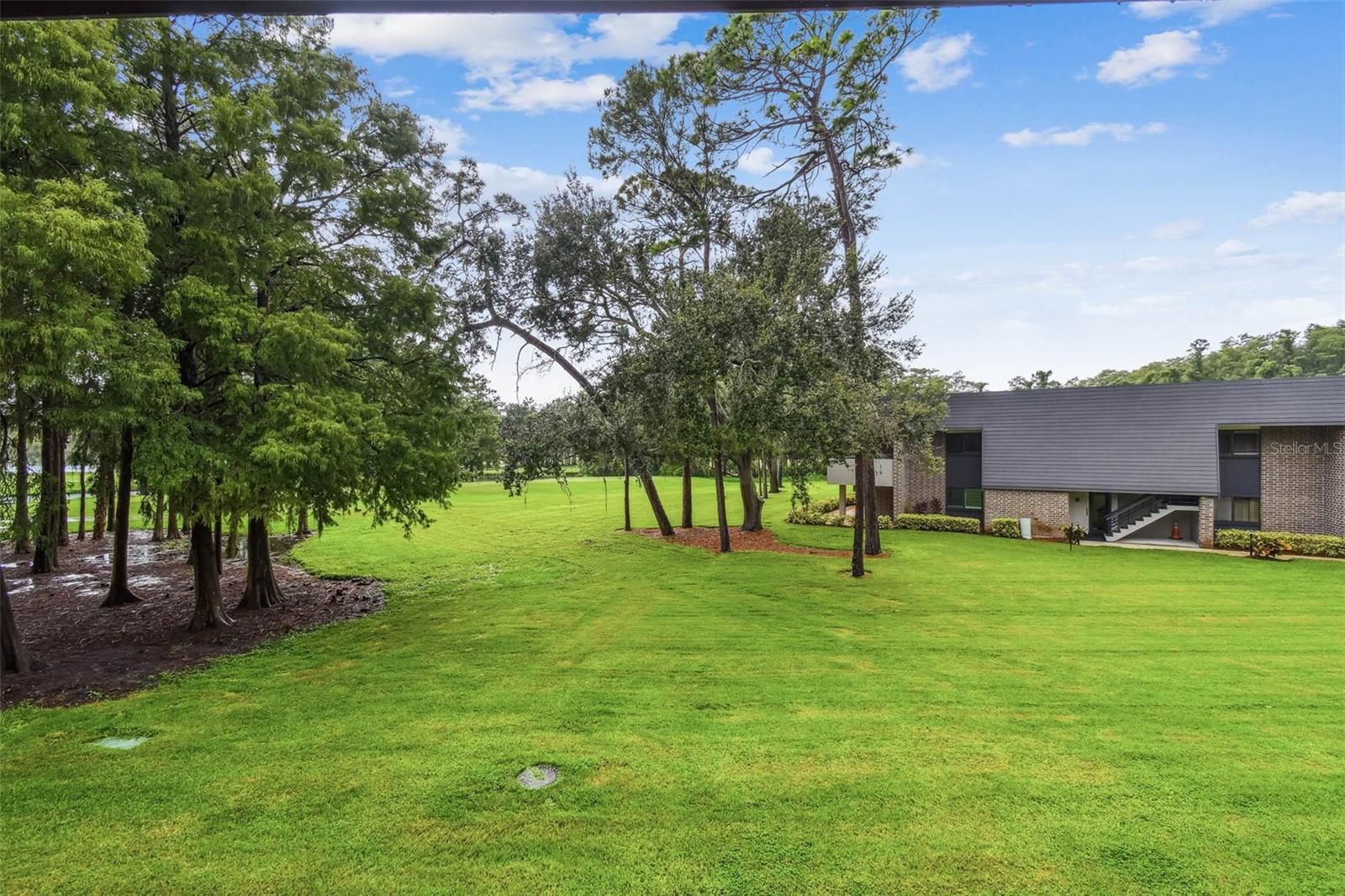 Image 34 of 64 For 36750 Us Highway 19 N 1-209