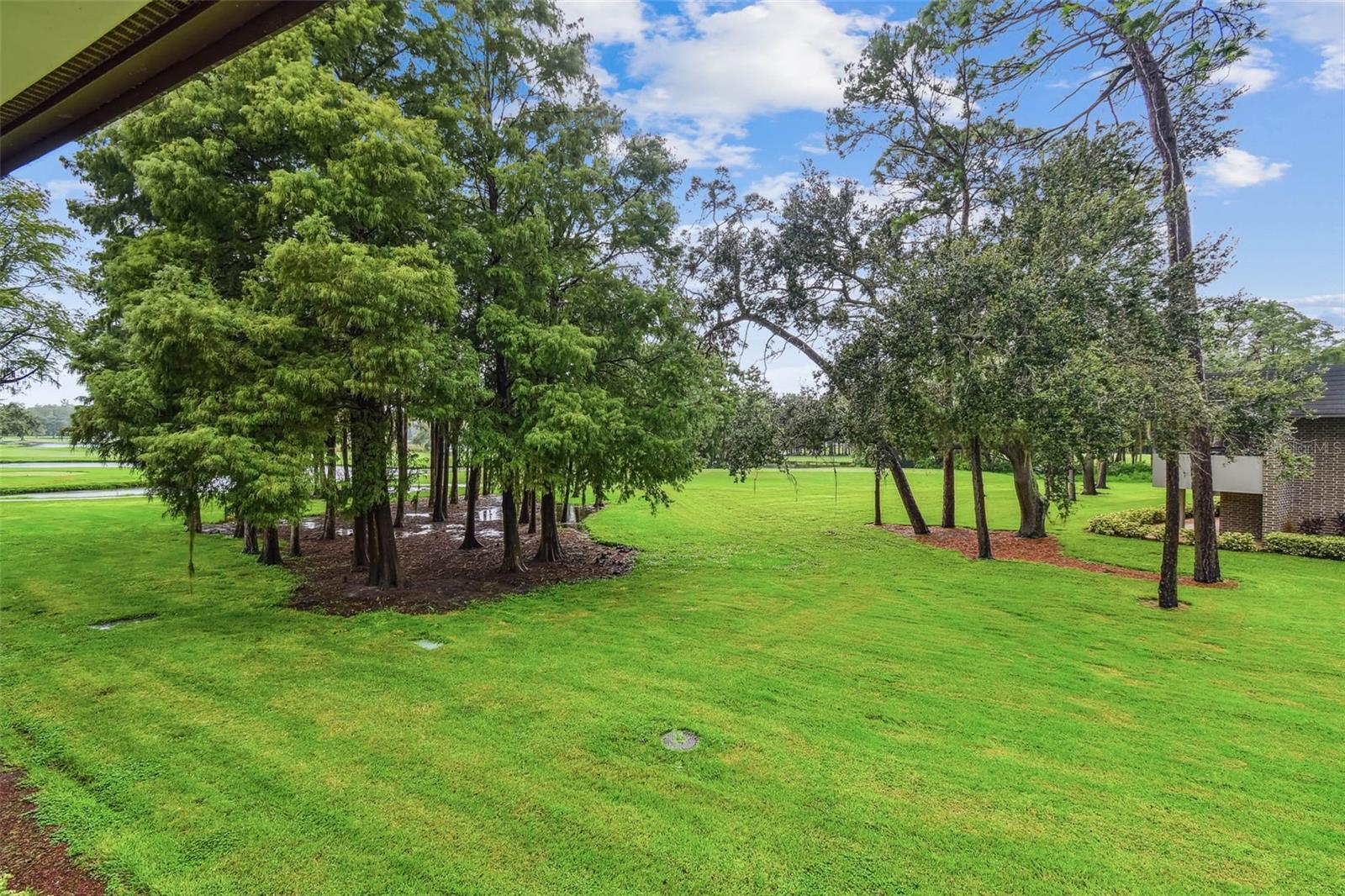 Image 35 of 64 For 36750 Us Highway 19 N 1-209