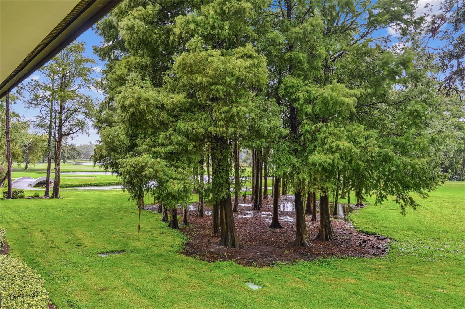 Image 36 of 64 For 36750 Us Highway 19 N 1-209