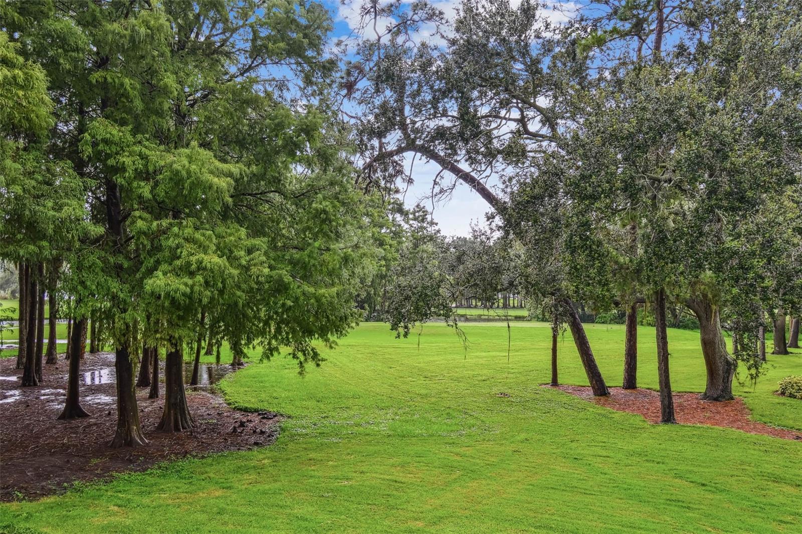 Image 37 of 64 For 36750 Us Highway 19 N 1-209