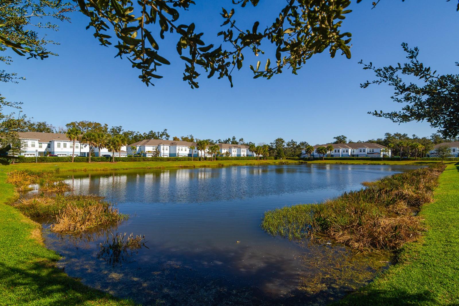 Image 4 of 47 For 4119 Via Sienna Circle