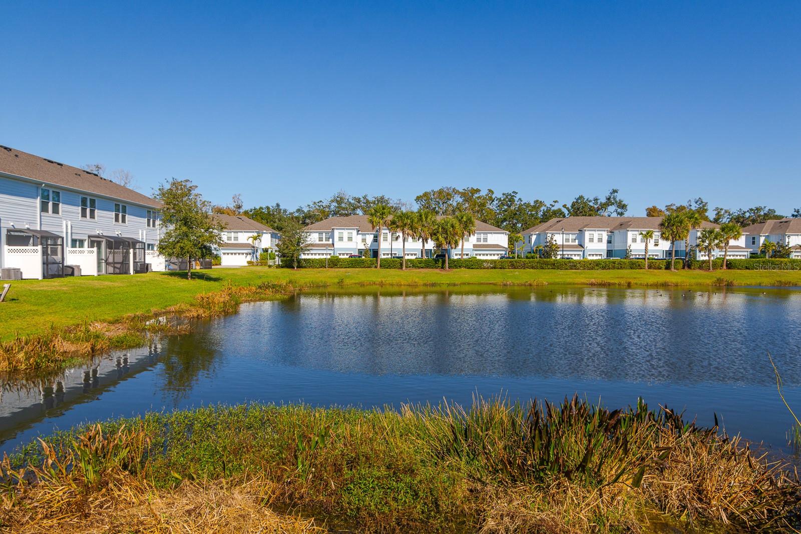 Image 45 of 47 For 4119 Via Sienna Circle