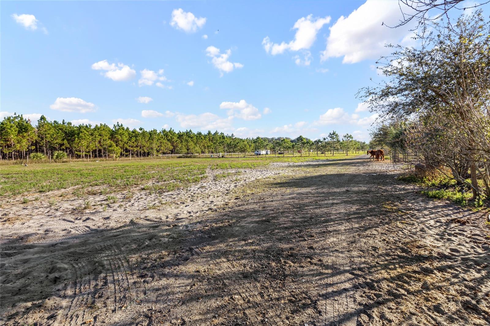 Image 10 of 13 For 18121 Bethlehem Road