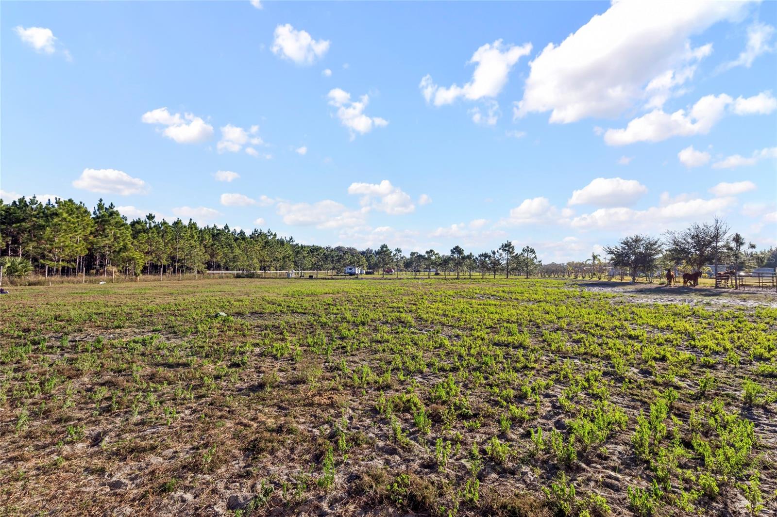 Image 11 of 13 For 18121 Bethlehem Road