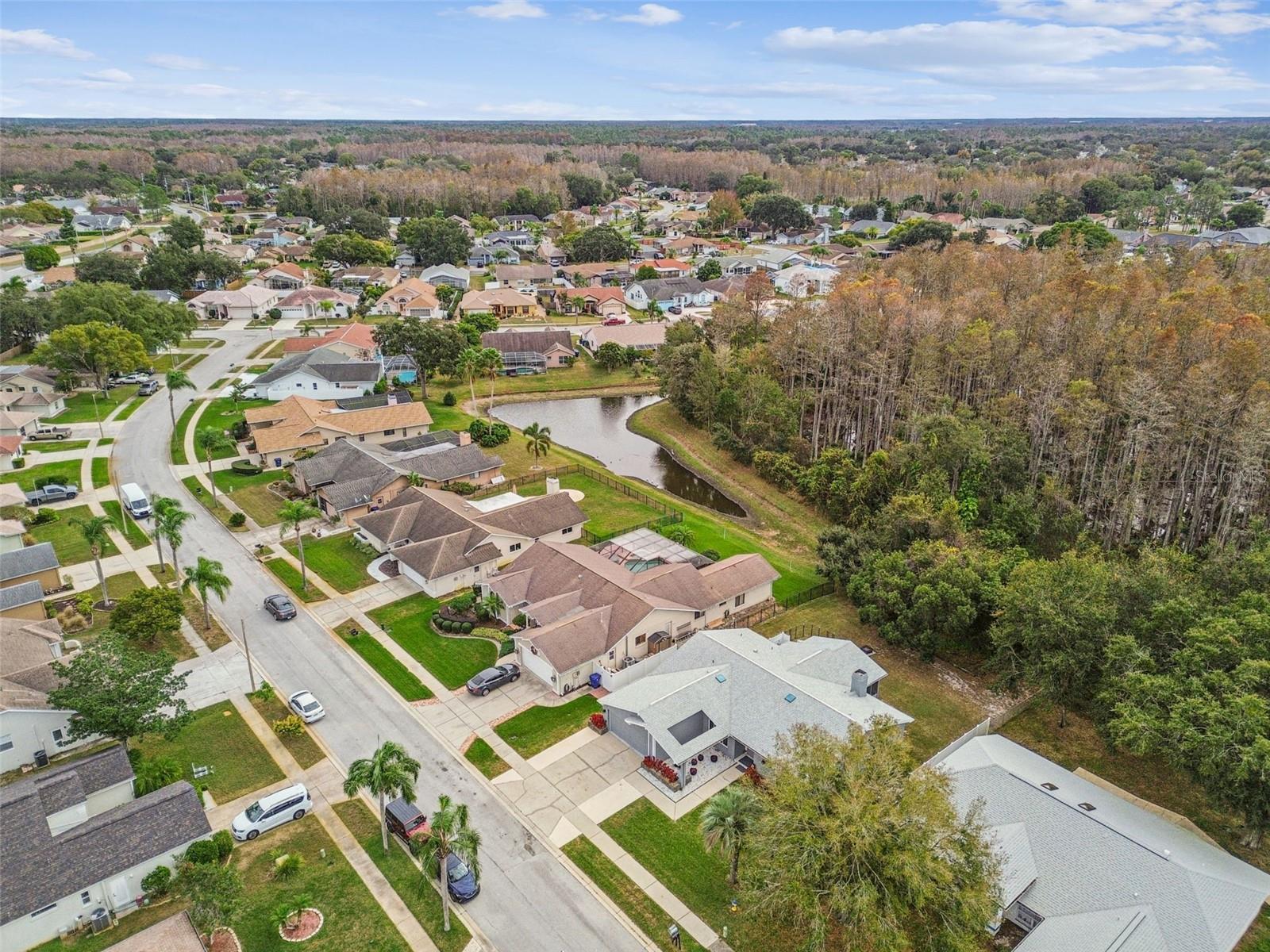 Listing photo id 41 for 9630 Via Segovia