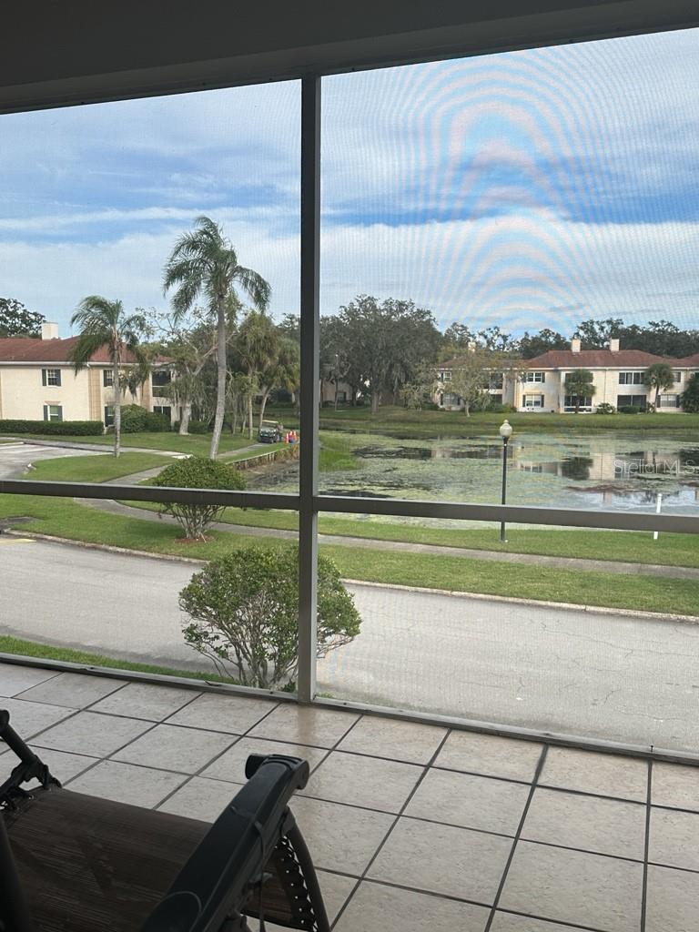 Image 10 of 17 For 10325 Carrollwood Lane 77