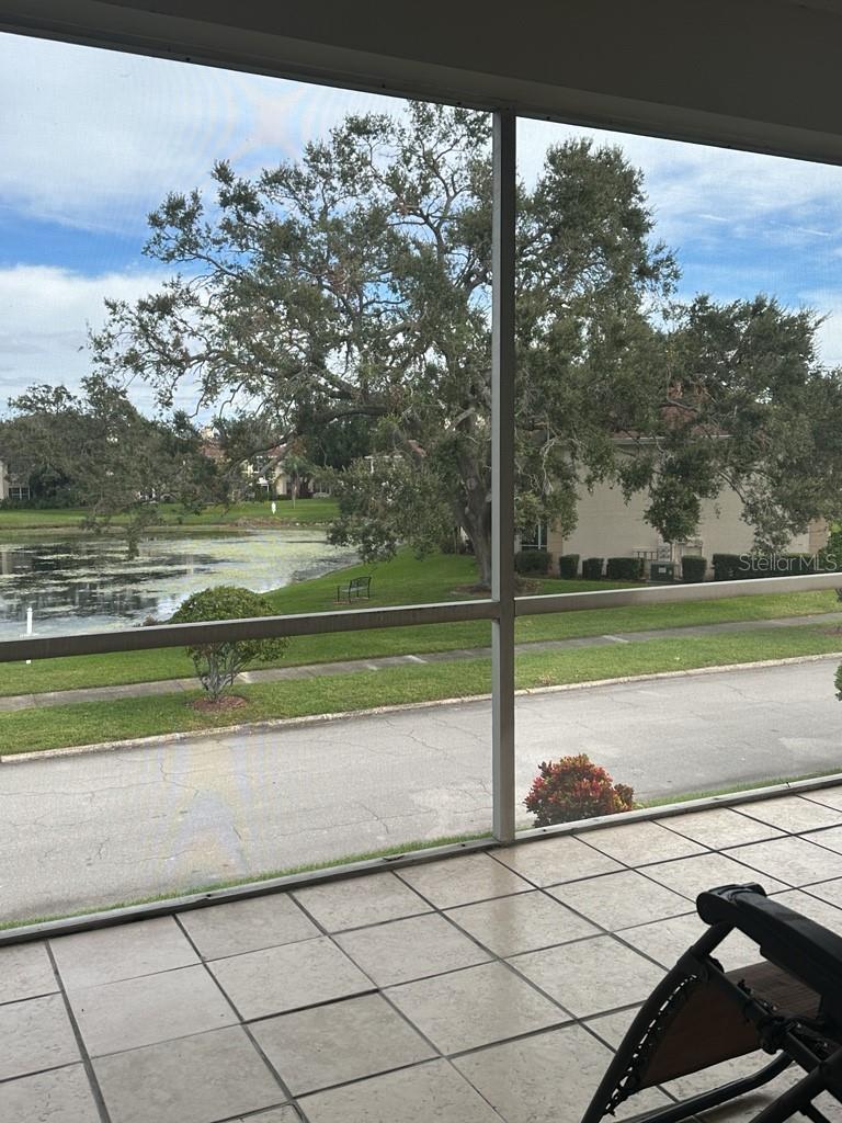 Image 11 of 17 For 10325 Carrollwood Lane 77