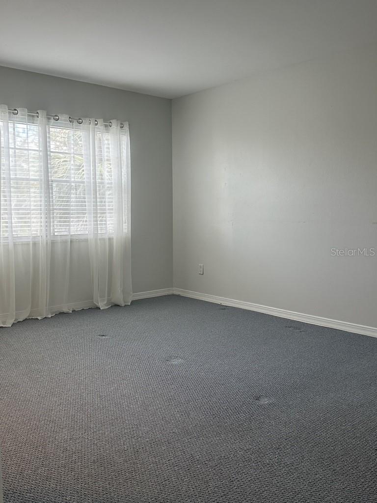 Image 12 of 17 For 10325 Carrollwood Lane 77