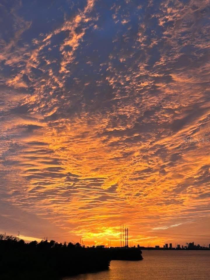 Listing photo id 39 for 842 Tennyson Mill Circle