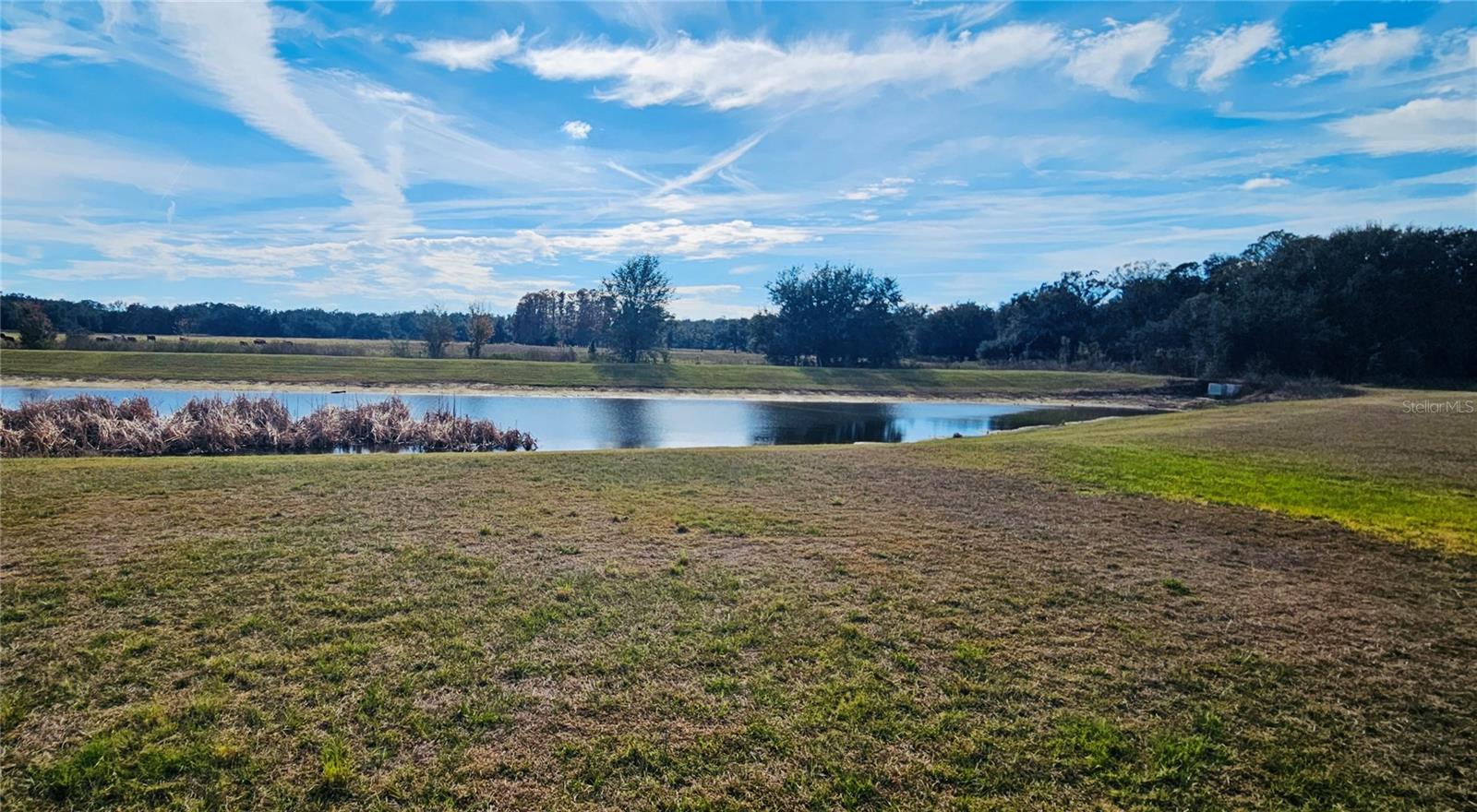 Image 4 of 12 For 3112 Forrest Plum Court