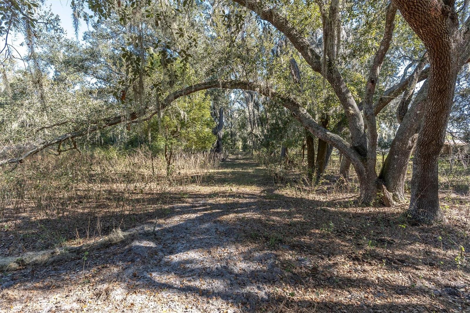 Details for Stanley Road, PLANT CITY, FL 33565