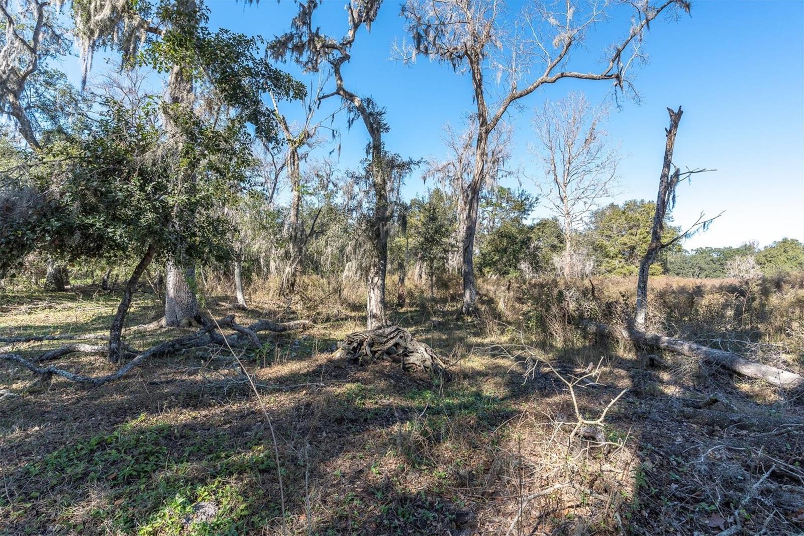 Image 5 of 7 For Stanley Road