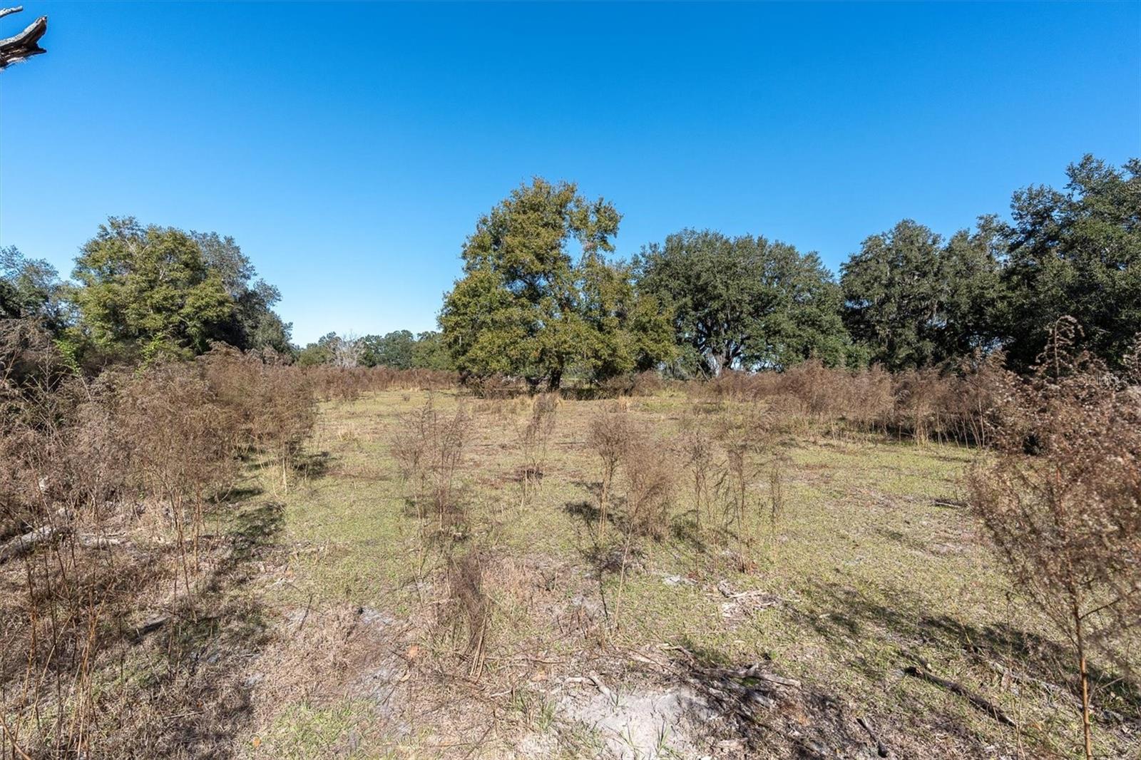 Image 6 of 7 For Stanley Road