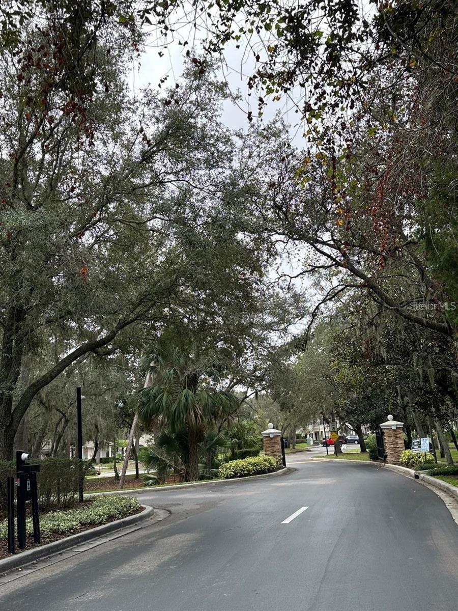 Image 34 of 34 For 5882 Fishhawk Ridge Drive 0