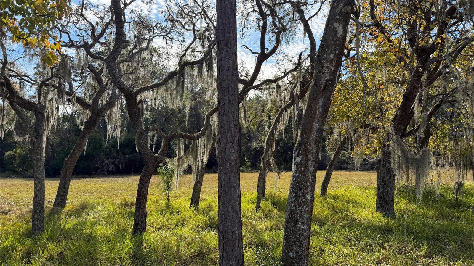 Image 60 of 61 For 10604 Millriver Drive