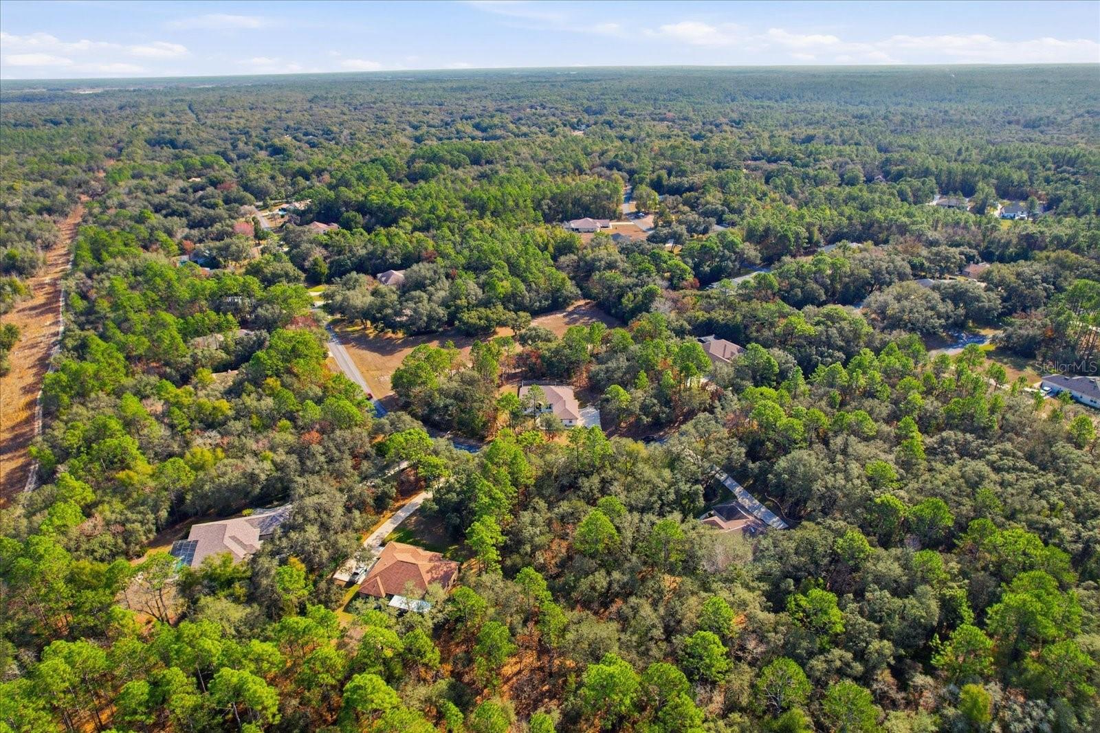 Image 47 of 49 For 4421 Little Dove Terrace