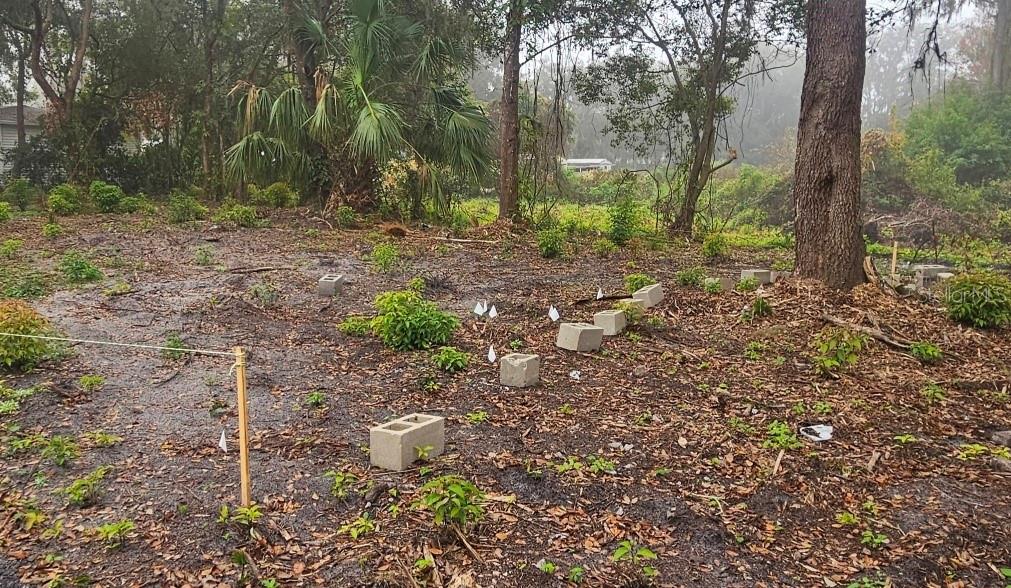 Image 10 of 13 For  Pevetty  