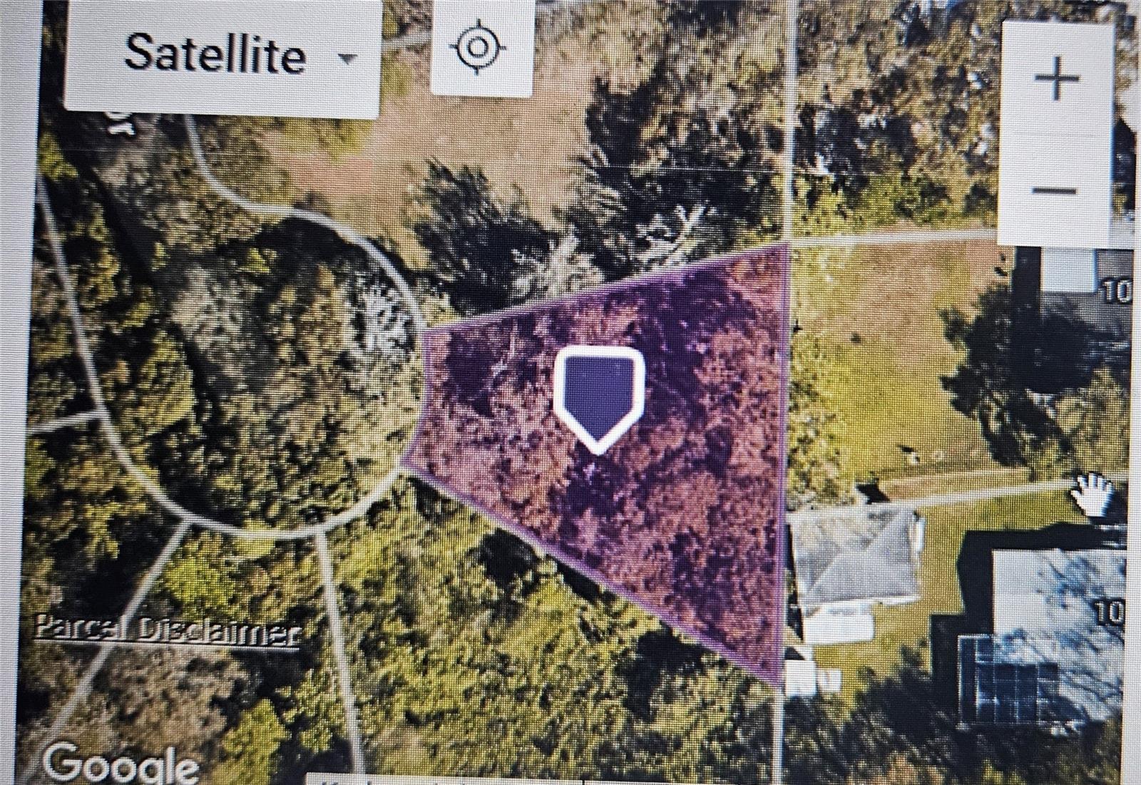 Image 11 of 13 For  Pevetty  