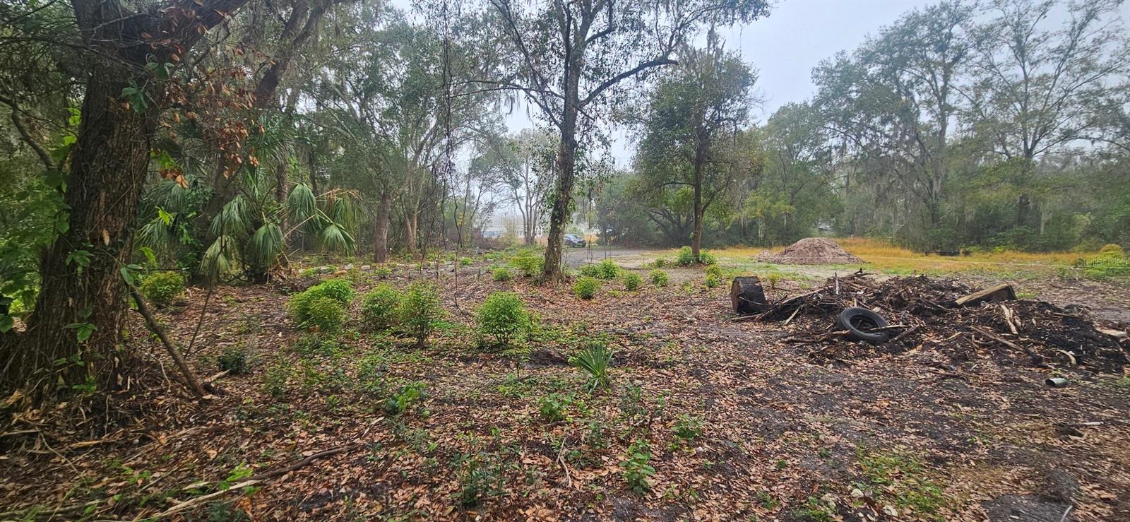 Image 3 of 13 For  Pevetty  