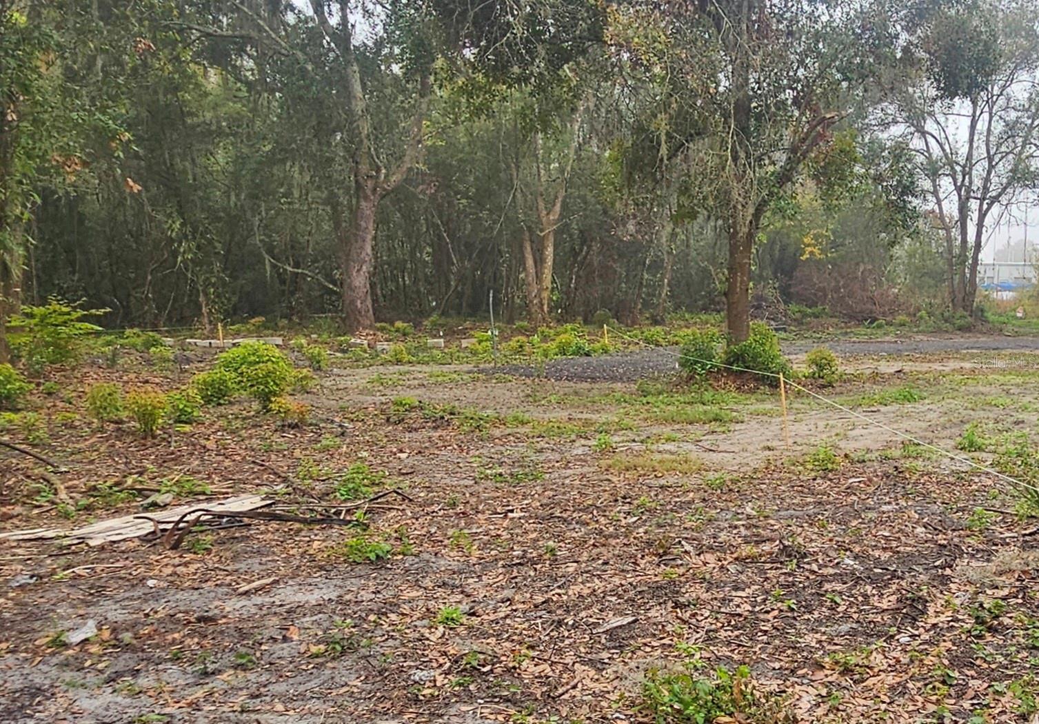 Image 4 of 13 For  Pevetty  