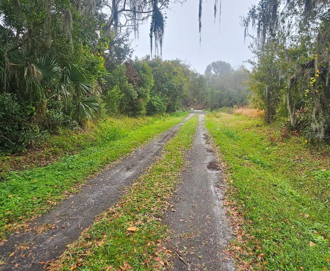 Image 5 of 13 For  Pevetty  