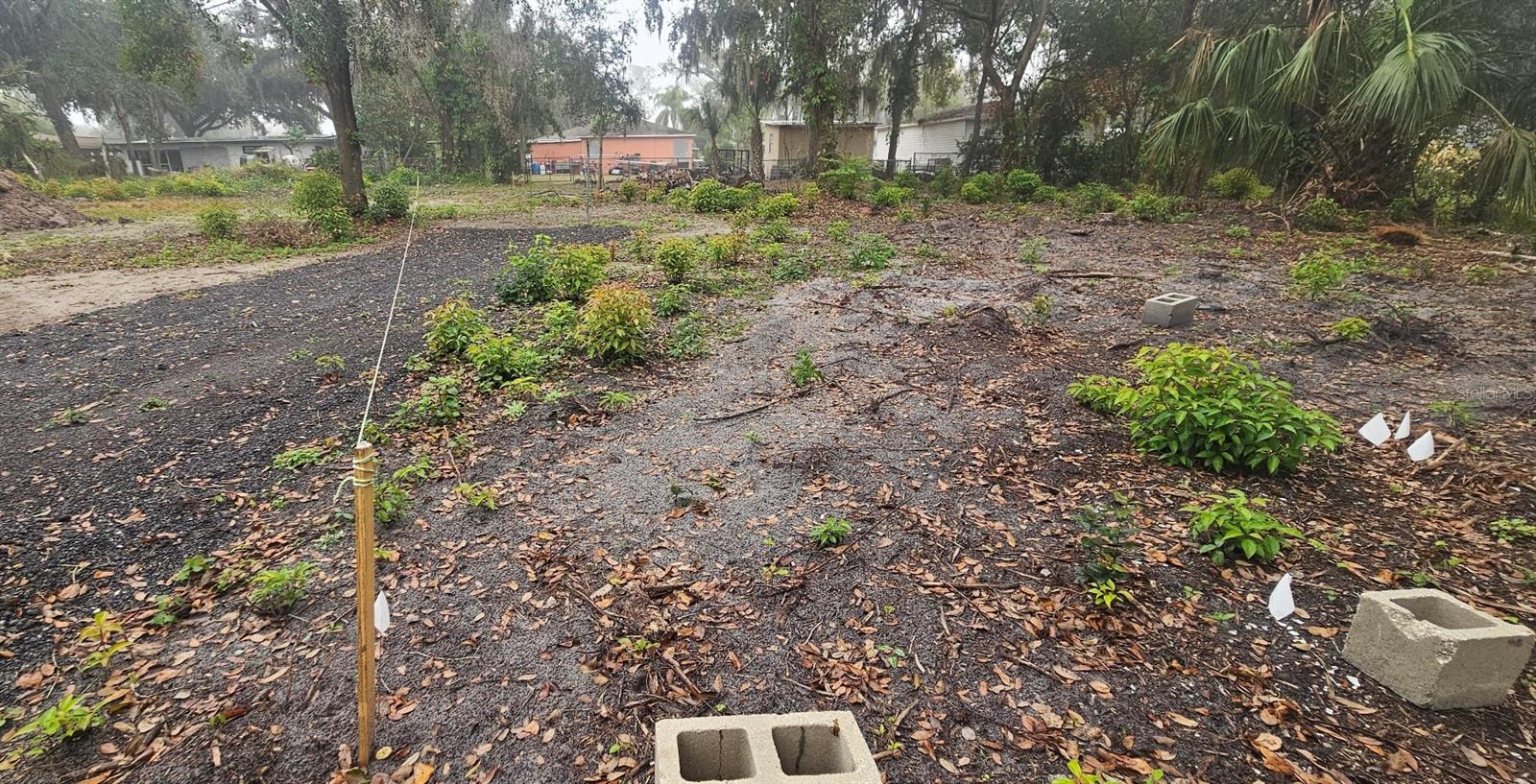 Image 6 of 13 For  Pevetty  