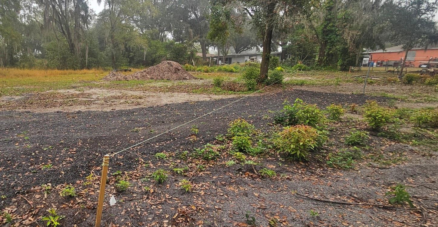 Image 7 of 13 For  Pevetty  