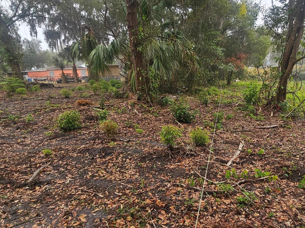 Image 9 of 13 For  Pevetty  