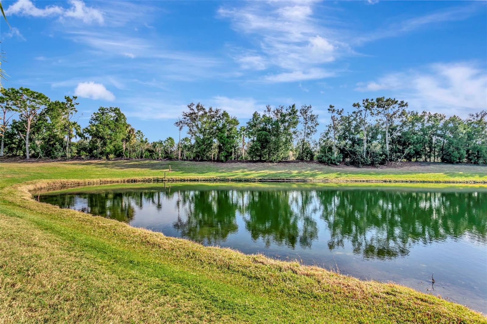 Image 23 of 37 For 11742 Forest Park Circle