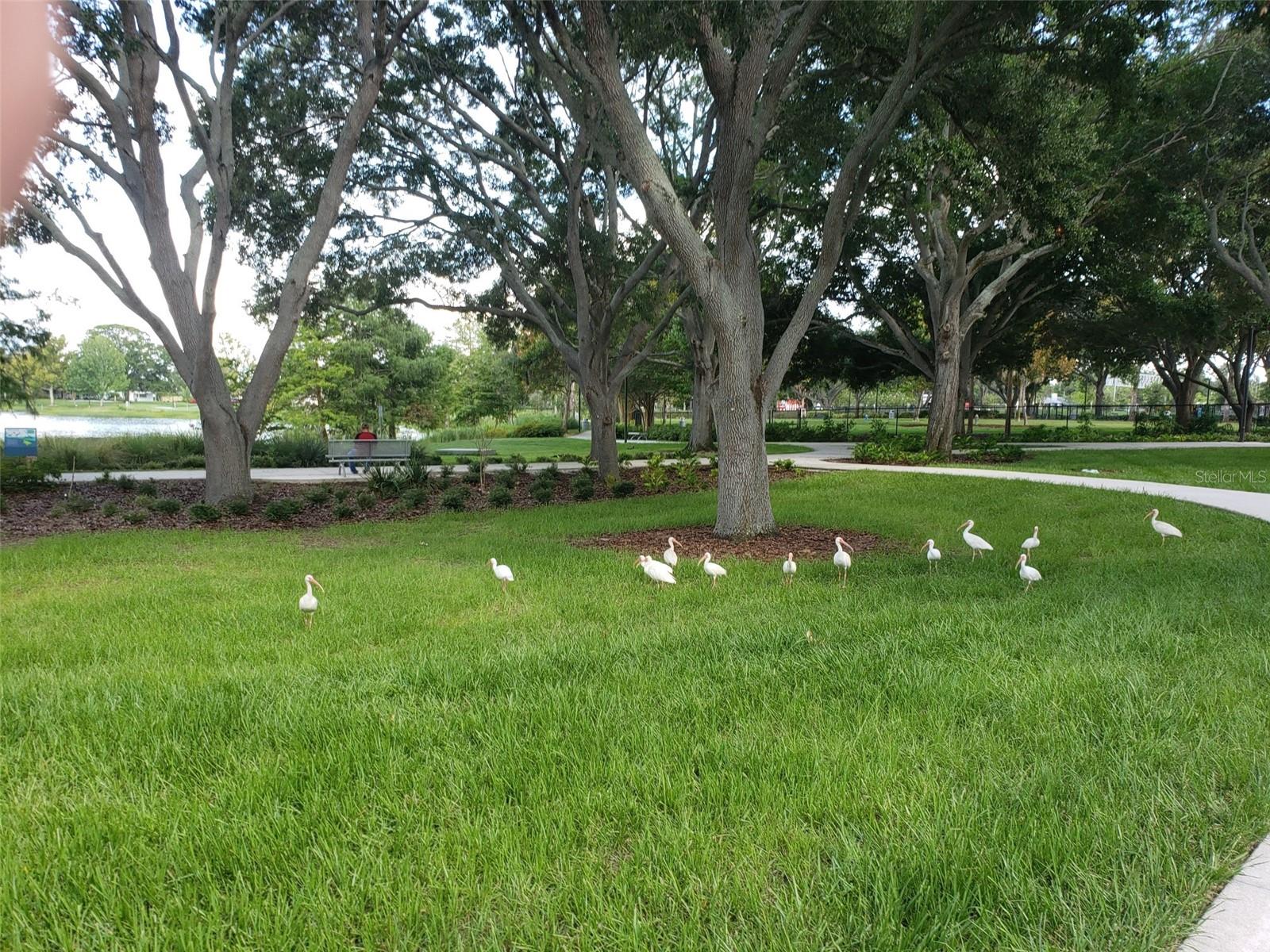 Image 16 of 22 For 1489 De Leon Street