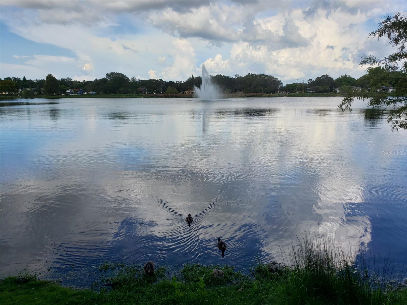 Image 17 of 22 For 1489 De Leon Street