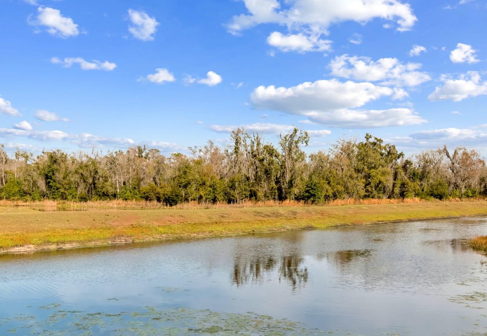 Image 52 of 71 For 12107 Nouveau Avenue