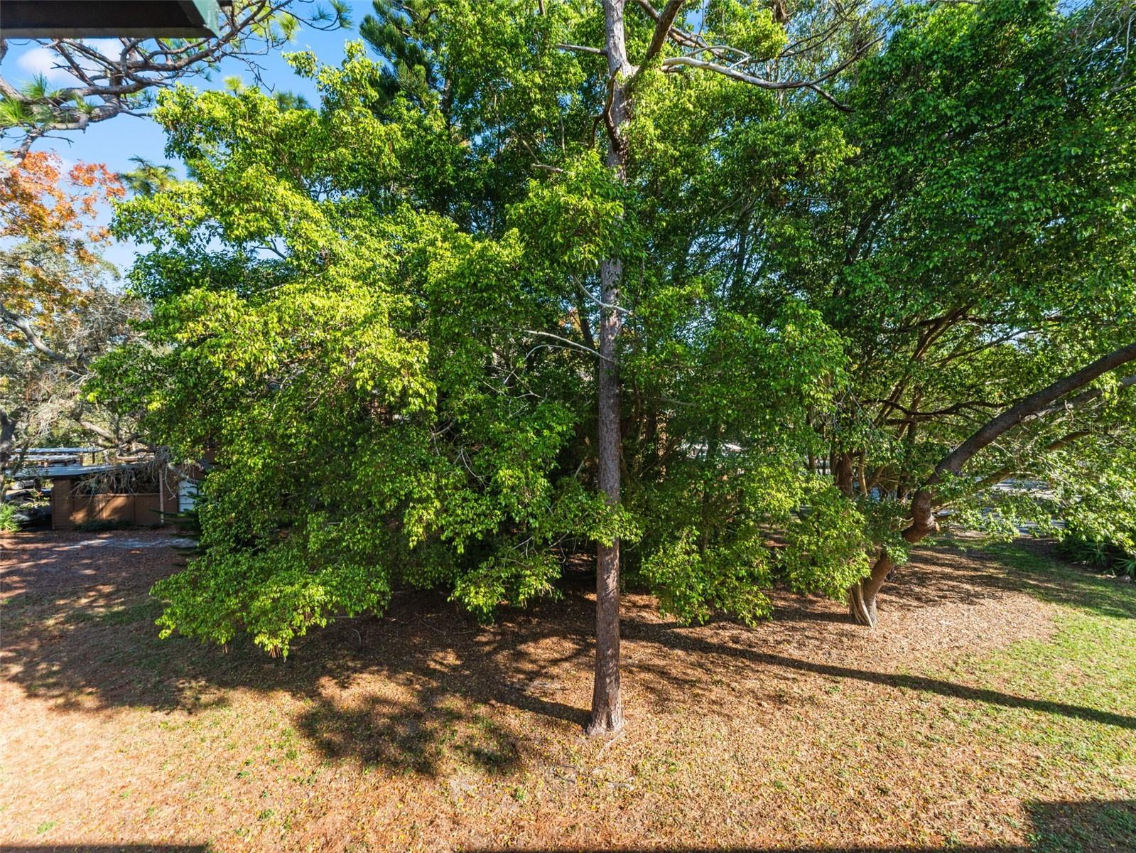 Image 19 of 30 For 1008 Lennox Road W