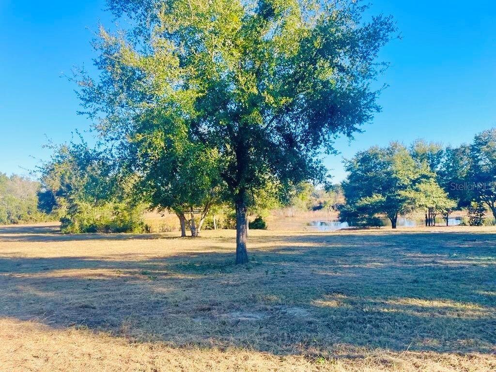 Image 8 of 16 For Hunters Trace Lane