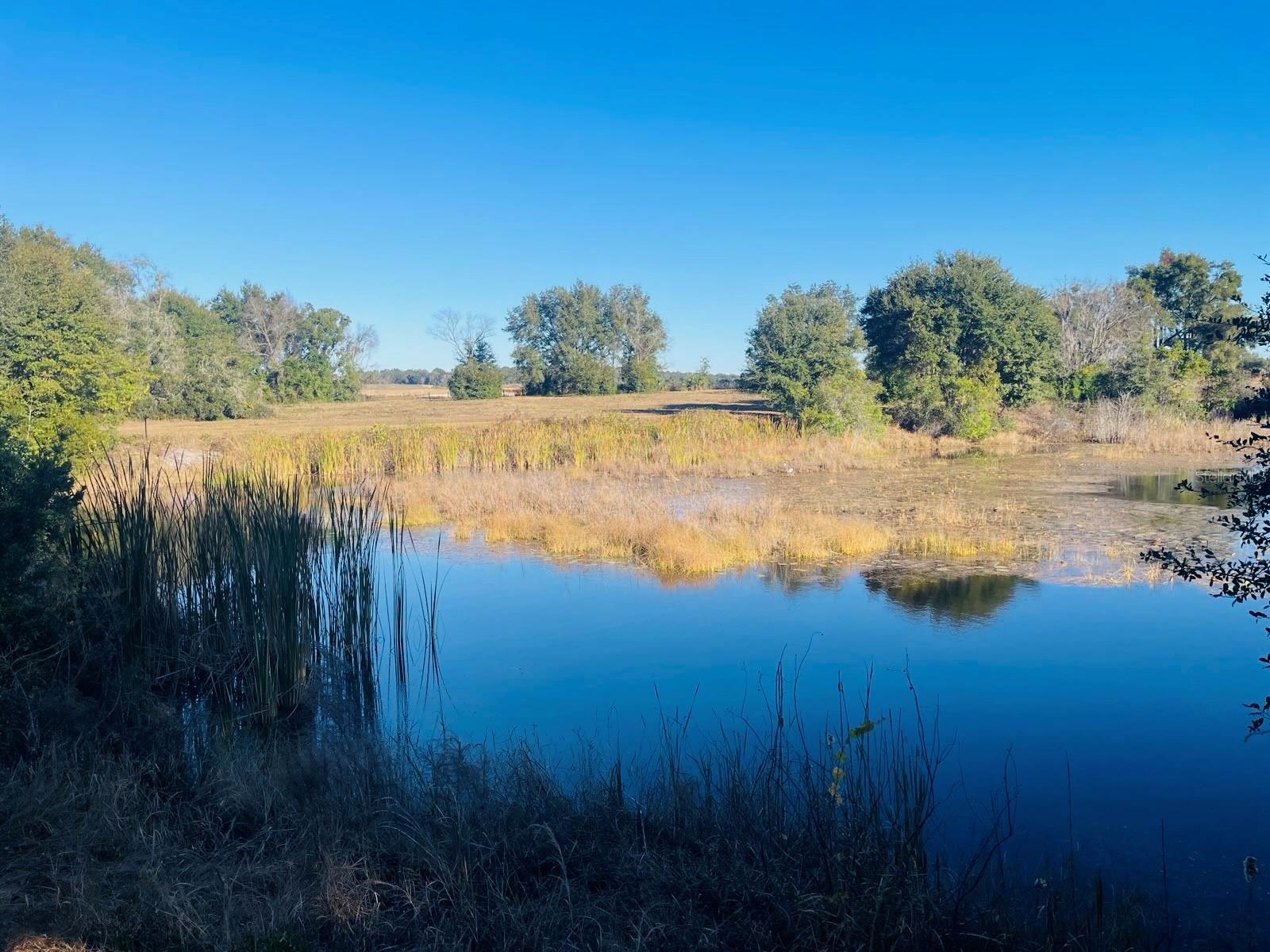 Image 9 of 16 For Hunters Trace Lane