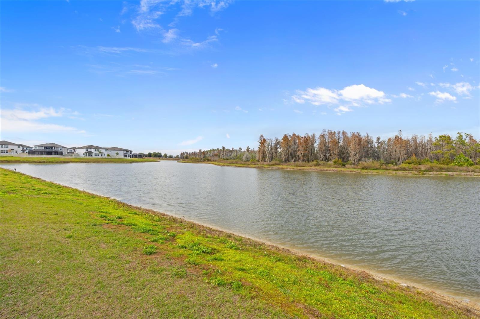 Image 76 of 100 For 7741 Notched Pine Bend