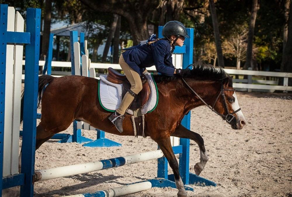 Image 56 of 59 For 3132 Santorini Court