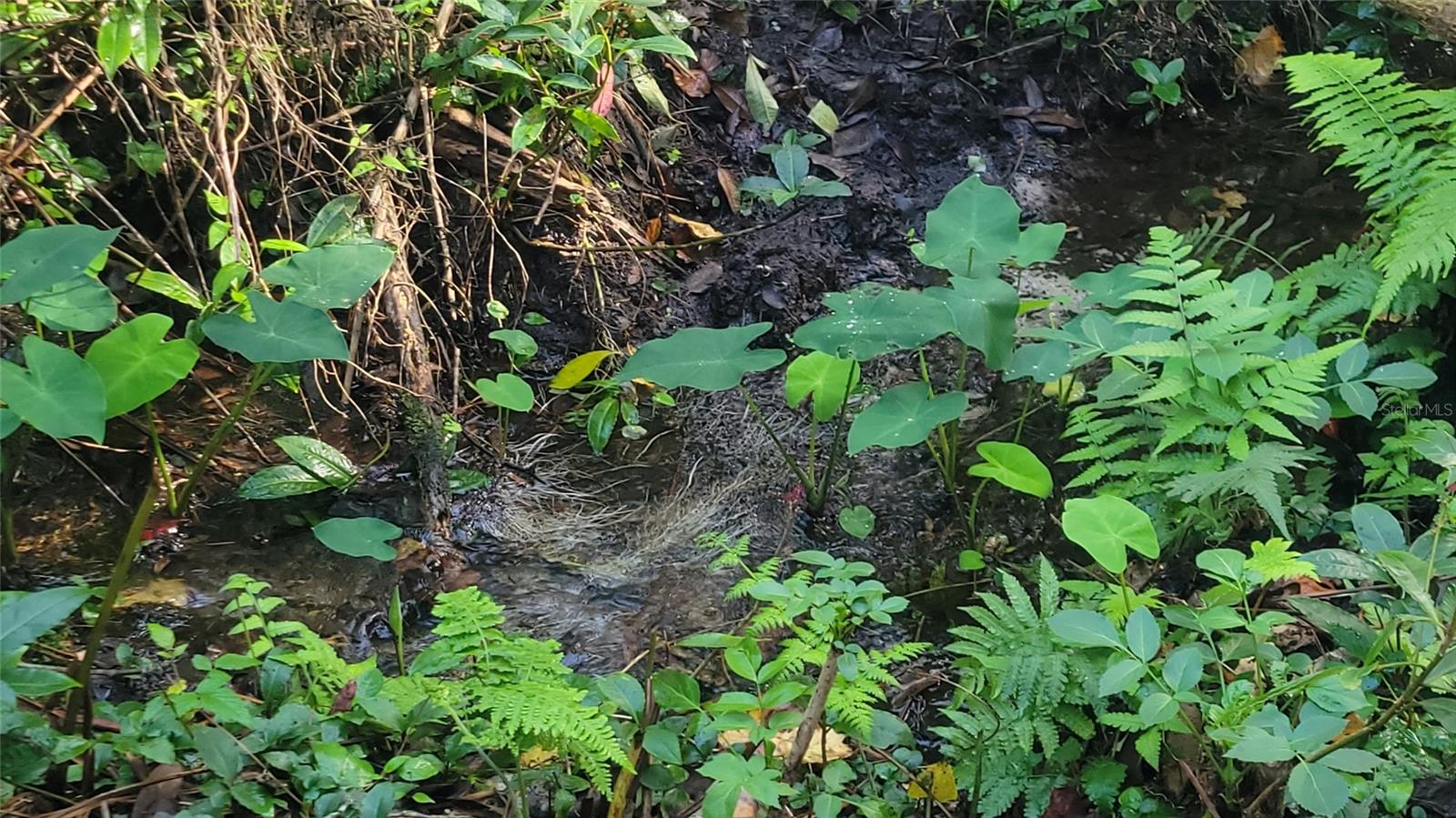 Image 33 of 47 For 22380 Powell Road