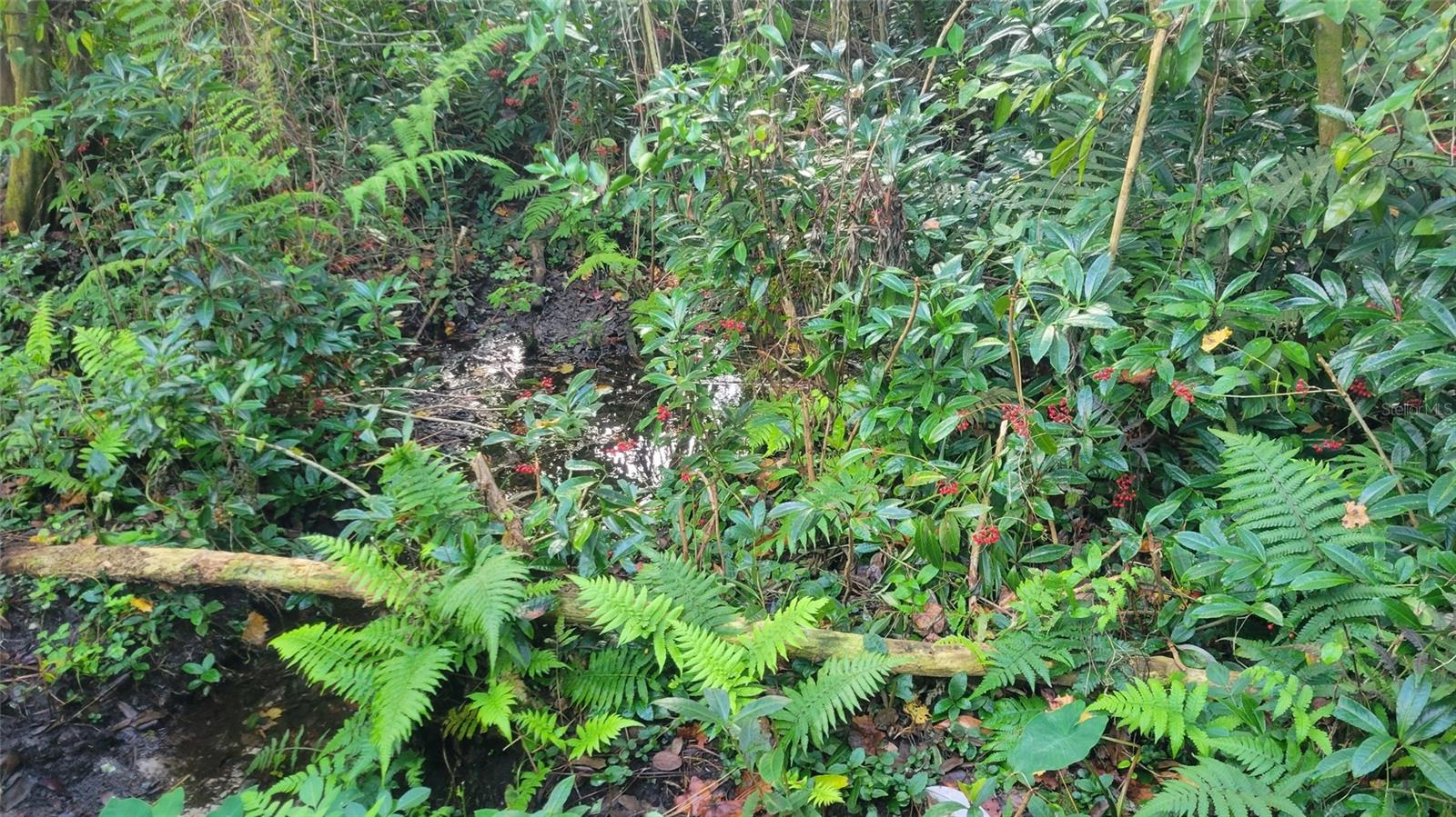 Image 34 of 47 For 22380 Powell Road