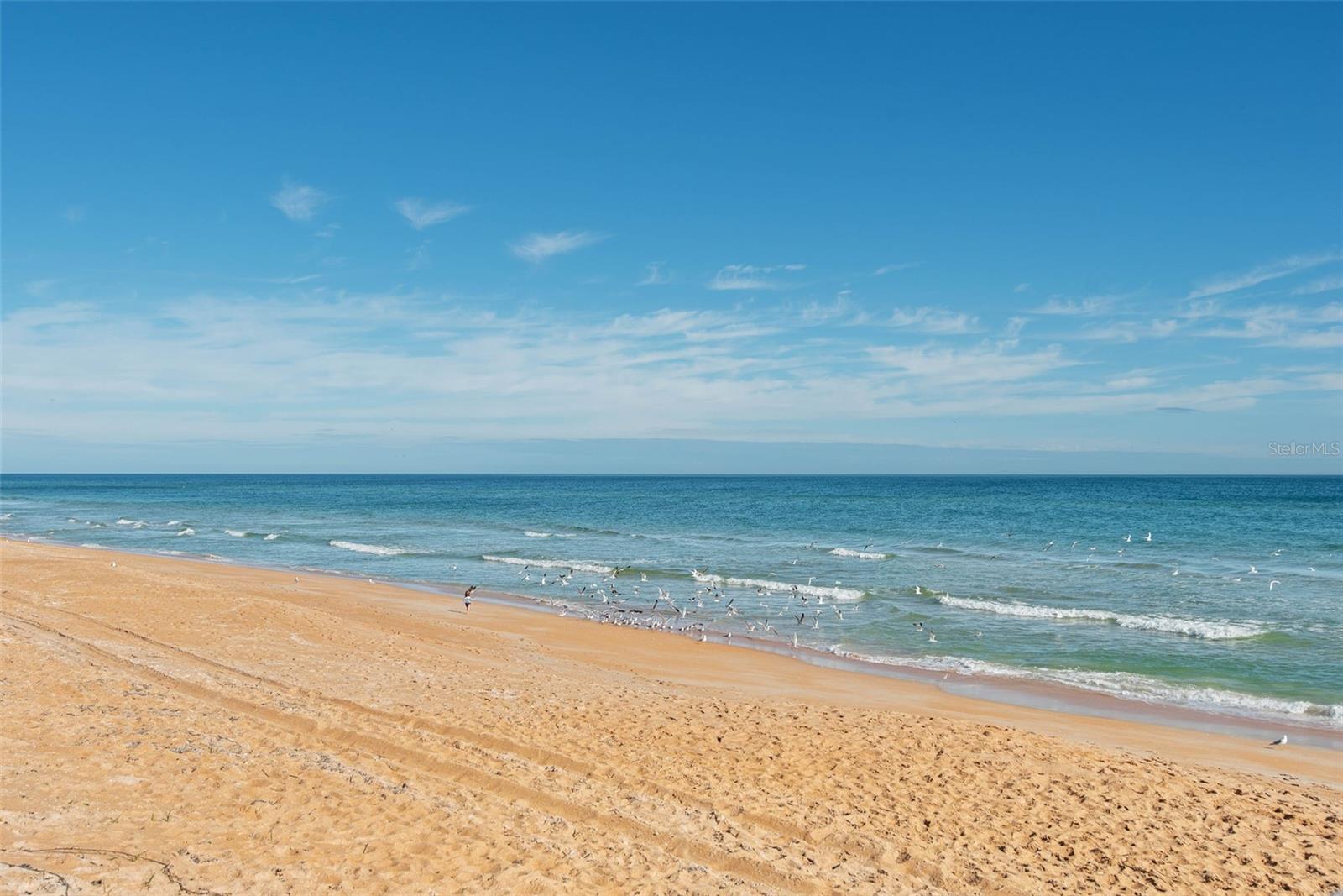 Image 4 of 37 For 3100 Ocean Shore Boulevard 405