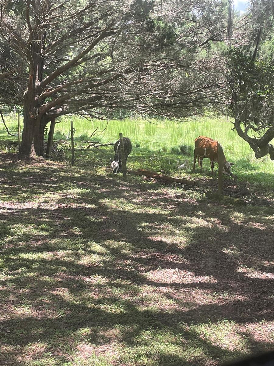 Image 23 of 23 For 3267 Rackley Road