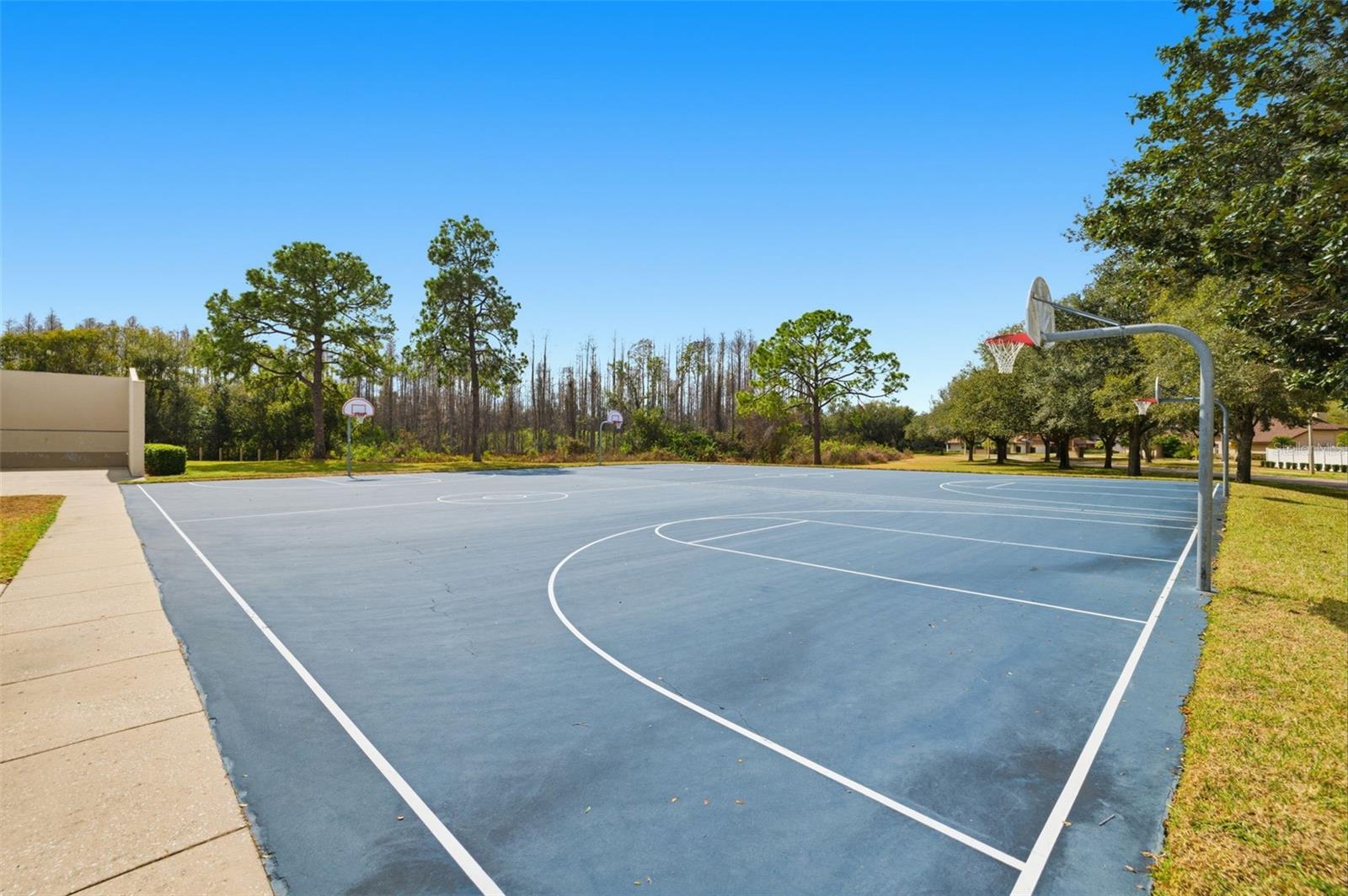 Image 48 of 72 For 6416 Thoroughbred Loop