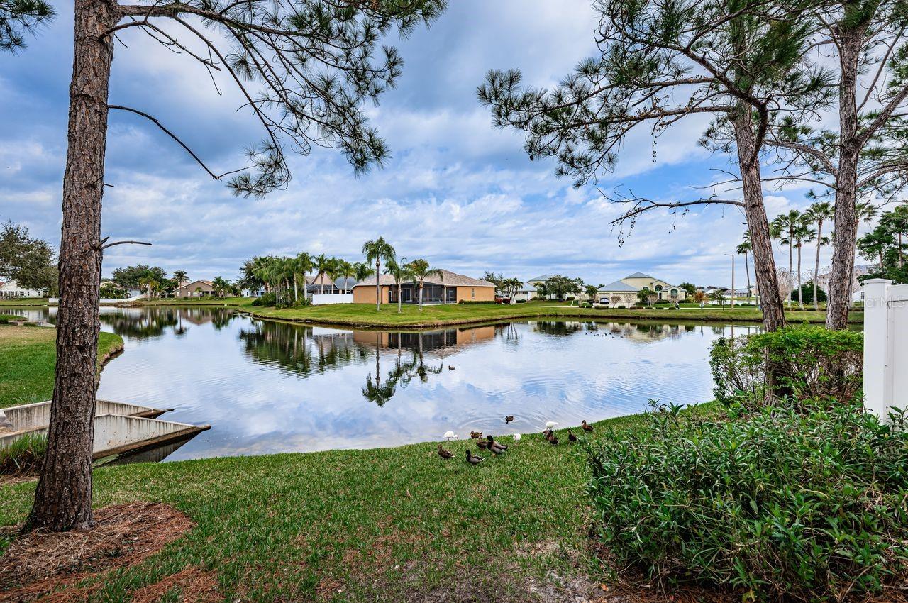 Image 12 of 41 For 605 Vallance Way Ne