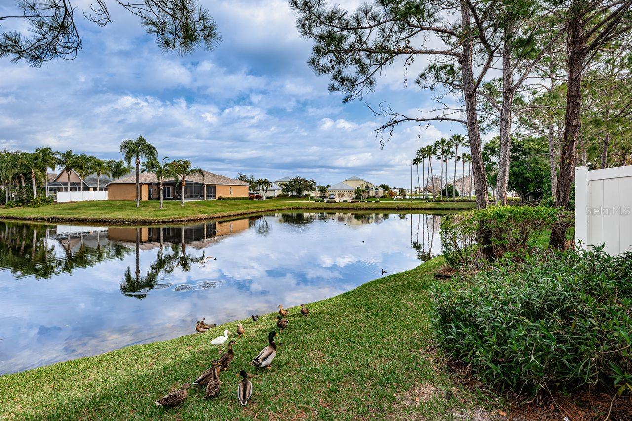 Image 13 of 41 For 605 Vallance Way Ne