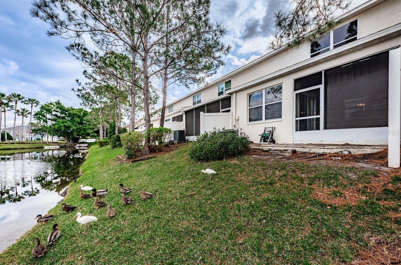 Image 21 of 41 For 605 Vallance Way Ne